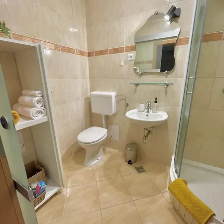 Apartment Topel Dom V Srediscu Mesta